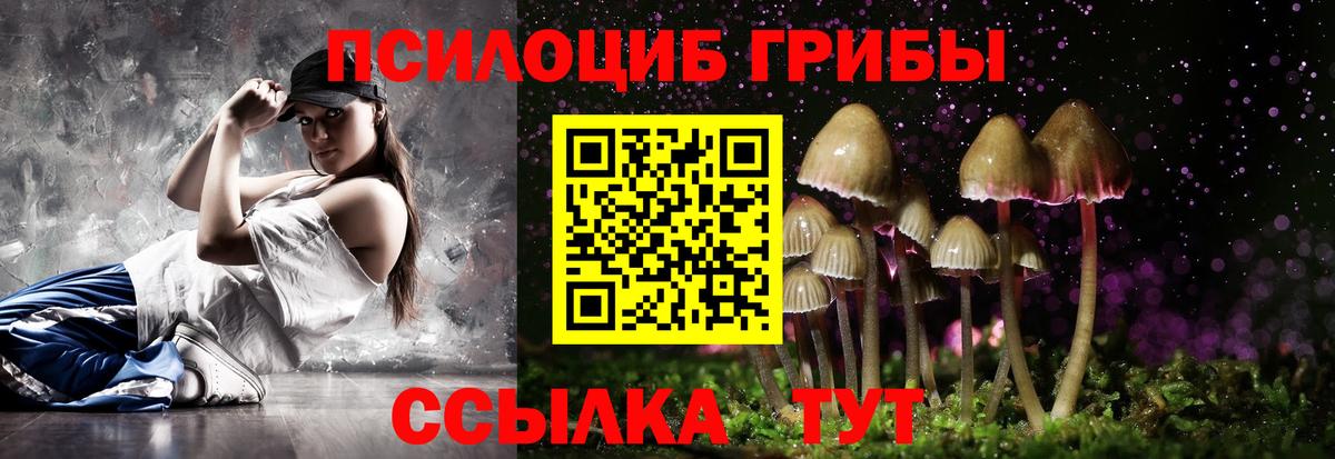 Псилоцибиновые грибы GOLDEN TEACHER Ростов-на-Дону